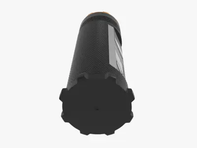 Fogo Flashlight 3D model