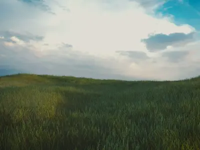 Grass grassy field under cloudy sky Free 3D model