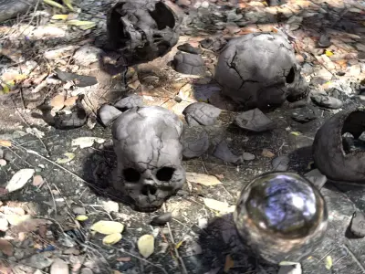 Human Skull Collection Low-poly 3D model