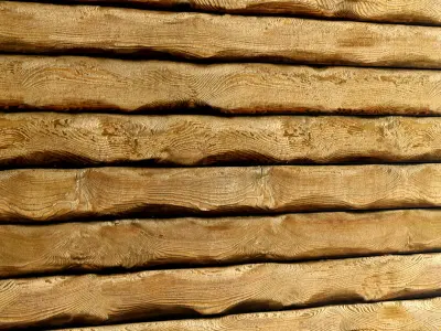 Wooden Plank Collection 2 3D model