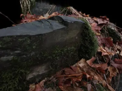 Mossy stone on the forest floor Free 3D model