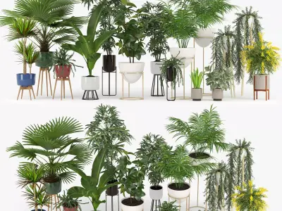Plants  Free low-poly 3D model