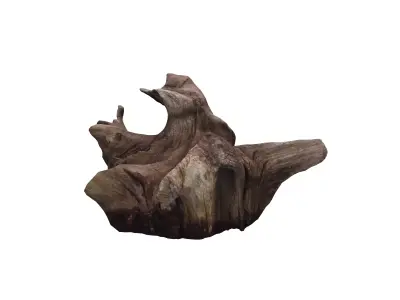 Tree Stump Low-poly 3D model