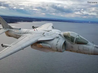  Multirole Combat Aircraft Flying Unarmed 