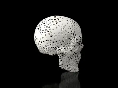 Skull Voronoi Low-poly 3D model