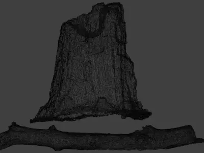 4K High Polly Tree Stump And Branch 3D model