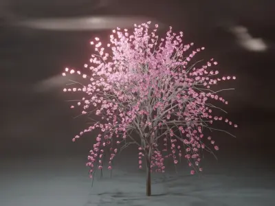 Model Japan Sakura Tree  Free 3D model