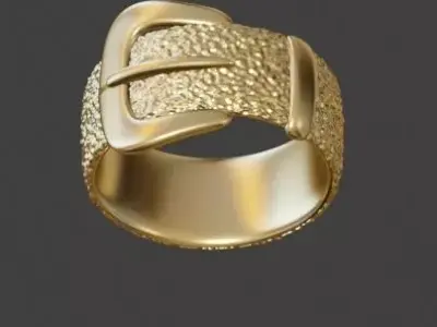 Belt Ring 3D print model