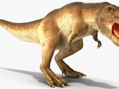  Animated Tyrannosaurus Rex Collection for Cinema 4D 