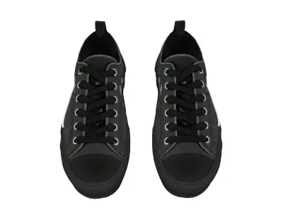 Dior B23 Low TOp Oblique 3D model