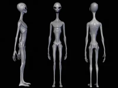 Realistic Alien 6 Sculpt 3D model