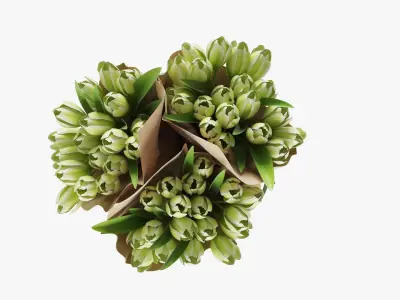  Flowers In Buckets Bundle 