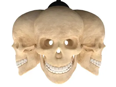 Skull Lamp 3D model