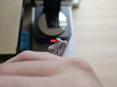 Crocodile Statement Ring Texture