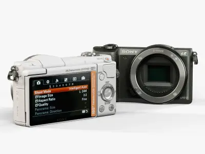 Sony A5100 Body mirrorless digital camera Low-poly 3D model