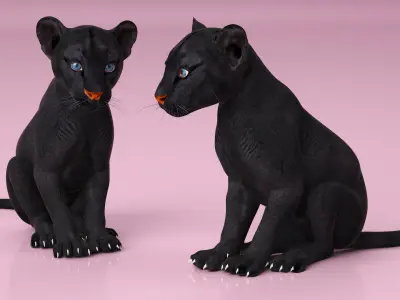  Black Panther Cub Rigged for Cinema 4D 