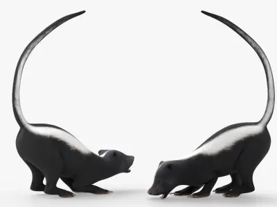  Skunk Animal Rigged for Blender 