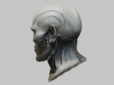 Fantasy Giger Alien Man head bust Low-poly 3D model