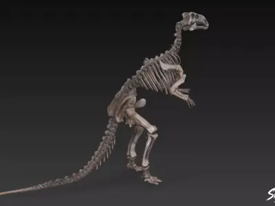 Iguanodon fossil Low-poly 3D model