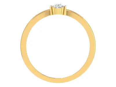Ring - 2489 3D print model