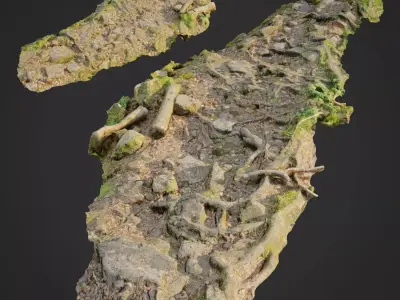 Ground stones C 3D model