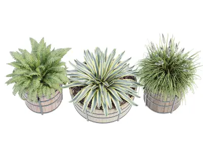 Half Barrel Planters 3D model