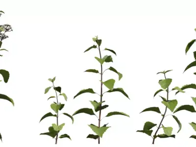 Game Ready Foliage Pack  Low-poly 3D model