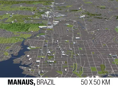 Manaus Brazil 50x50km City Map 3D model