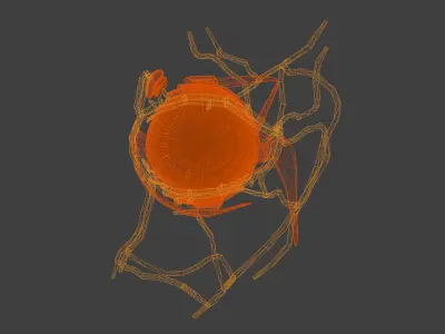 3D Model of Complete Eye Anatomy 3D print model