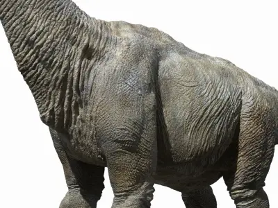  Brachiosaurus (Rigged) 