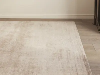 Carpet set 3110 - Wool Rug - 5k 3D model