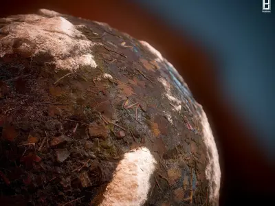 4k PBR Texture Of Snowy Moss Texture