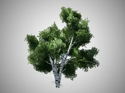 White Birch Tree Low-poly 3D model