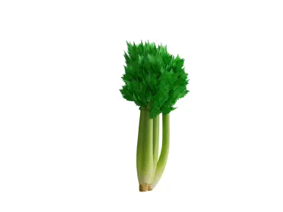 Celery Low-poly 3D model