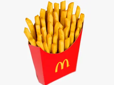  Realistic McDonalds French Fry1 