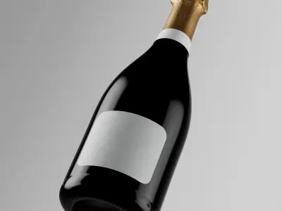 Sparkling Wine Photorealistic Bottle 3D Model Set 3D model