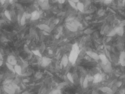 Forest Floor Seamless Material Texture