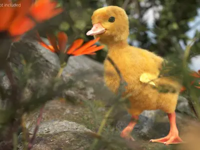  Young Farm Duck Idle Animated Fur Rigged For Blender 