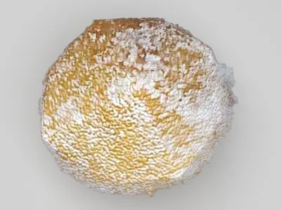 Sphere Donuts 3D model