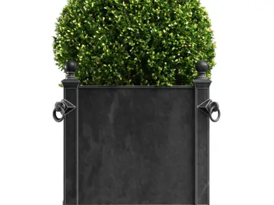 Modern Boxwood in the garden planter ArtDeco style Patio Porch  3D model