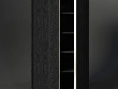 BEZIER PANEL DOUBLE-DOOR CABINET 3D model