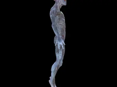 Alien 3D model 19