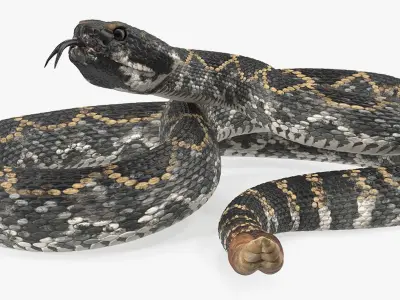  Snakes Rigged for Maya Collection 