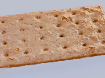 Biscuit Free 3D model