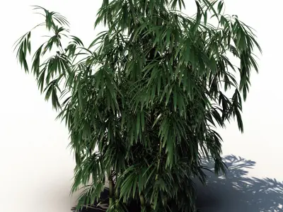 Cityscape Collection 3D model