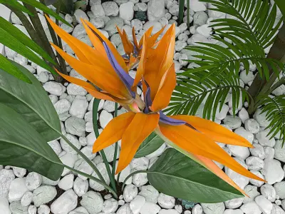 Flowers and plants set 3D model