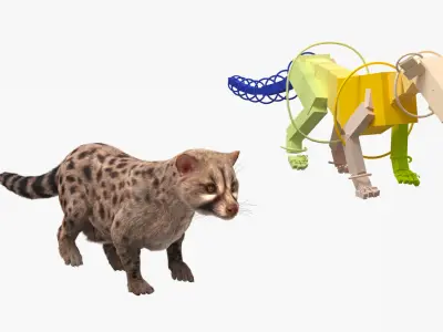  Asian Palm Civet Musang Spotted Coat Brown Fur Rigged 