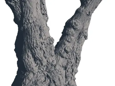  Spooky Forest Pack 30 