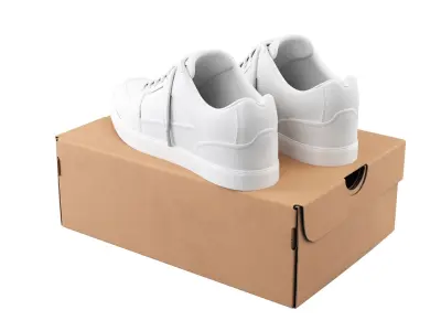  Shoe Box with Sneakers 