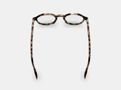 Caswell Eyeglasses in Biscotti Tortoise 3D model